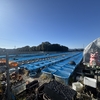 冬のメダカ屋巡りは栃木以外は無謀なのか？