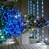 鶴瓶カレンダー2009 - happyfree21の日記