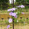 富山県中央植物園を巡る ⑦（富山県富山市）
