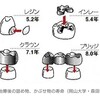 【予防歯科】日本人の歯への意識は低すぎる！？