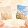 チェキの色褪せ復活は可能？元に戻せるのかと正しい対処法を徹底解説