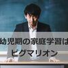 幼児期からの学習教材はピグマリオン。内容や活用法をまとめてみました!