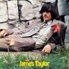「彼女の言葉のやさしい響き（Something in the Way She Moves）」ジェイムス・テイラー（James Taylor）（1968）