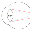 どうしてもメガネは掛けたくないらしいです（汗）