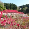 「天国に一番近い里川角（かいずみ）」の花桃を愛でに行く ⑦