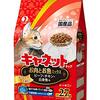 【食いつきレビュー】キャネットチップはお財布に優しい？愛猫のリアルな反応を徹底検証！