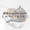 猫壱×mofusand【バリバリボウル】