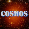 『コスモス　セーガン博士の宇宙旅行』宇宙の浜辺で