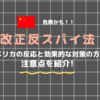 【改正反スパイ法】中国には行けねーわ！！