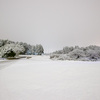 2022年1月6日の雪の日と、1月9日