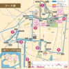 大阪マラソン2025の折り返し地点のハプニングはなぜ起きた？