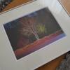 現実の部屋に、演劇の嘘を飾る。ジェラール・バーン『A Country Road, A Tree. Evening.』を額装して