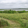 メグマ沼（北海道稚内）