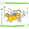 ねこ漫画【ボン(盆)入り】
