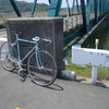 　自転車で野草採り
