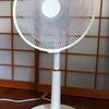 25/6/24　今日、新しい扇風機が届きました