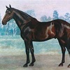 種牡馬御三家って何？