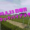 2020,8,23 日曜日 トラックバイアス予想 (新潟競馬場、小倉競馬場、札幌競馬場)