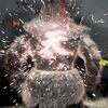 【ワイルズ】Ver1.011アプデ×スト６コラボ配信！
