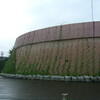 明後日朝顔 NIIGATA 2009（江南区亀田水道町）−水と土の芸術祭2009