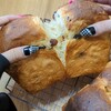 冷蔵庫で一次発酵するポイントとコツ