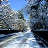 三連休パスの旅〜雪景色の函館・北東北／3日目／秋田内陸縦貫鉄道・旧角館町・山寺