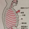 踊っているときは呼吸を止めずに！