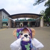 #上野動物園、新しくできたこども動物園のたび