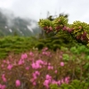 不忘山登山とその他散策その２