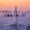 「미쳤다」(ミチョッタ)の意味と使い方：韓国語表現の魅力と文化的背景
