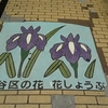 渋谷の花　花しょうぶ