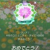 ピクミンブルーム＊その２５　ナデシコのコミュニティデイ