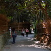 夏・嵯峨野路