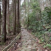 東海道を歩く　9.箱根板橋駅～箱根神社入口バス停