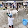 移動動物園🐰