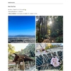 本物の Strava 日記