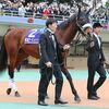 ３５頭目の顕彰馬に無事選ばれました。☆アーモンドアイ