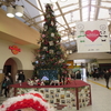 #シャンシャンクリスマス#上野駅