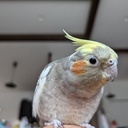 晴れの向こう側