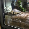 足立区生物園に行ってきた