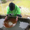 山ヶ野金山の揺り鉢