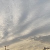 今日の朝空12/20