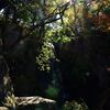 二の丸庭園Ⅲです。