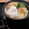 日曜も、うどん。