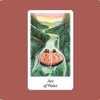 Vision Quest Tarot：Ace of Water