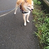 一時停止、だよ