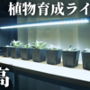 【超おすすめ】オープンシェルフ（棚）の中段・上段で使える！バータイプの植物育成ライト「BAR LIGHT L610 （バーライト L610）」レビュー！Samsung「LM281B+PRO」搭載！観葉植物｜アガベ｜多肉植物｜実生