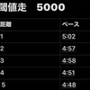 5km 閾値走