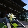 そうだ！喜光寺へ行かねば！