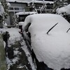 また雪かorz